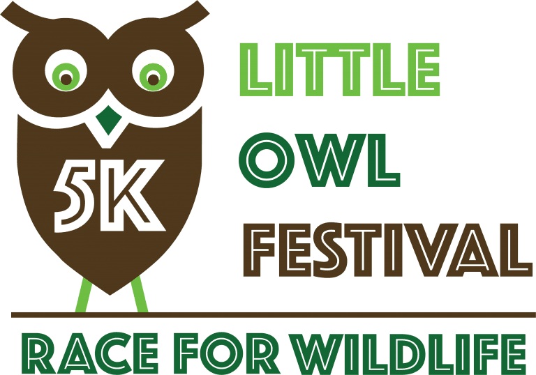 Little Owl Festival 5k, HD Png Download - Transparent PNG Free Download | PNGio