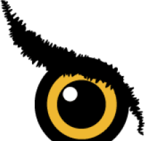 Eye Clipart Owls - Circle, HD Png Download - Transparent PNG Free Download | PNGio