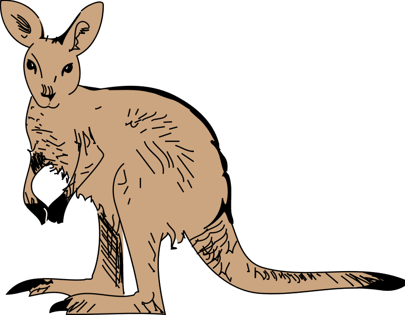Cute Furry Kangaroo Clip Art - Animated Kangaroo Png - Transparent PNG Free Download | PNGio