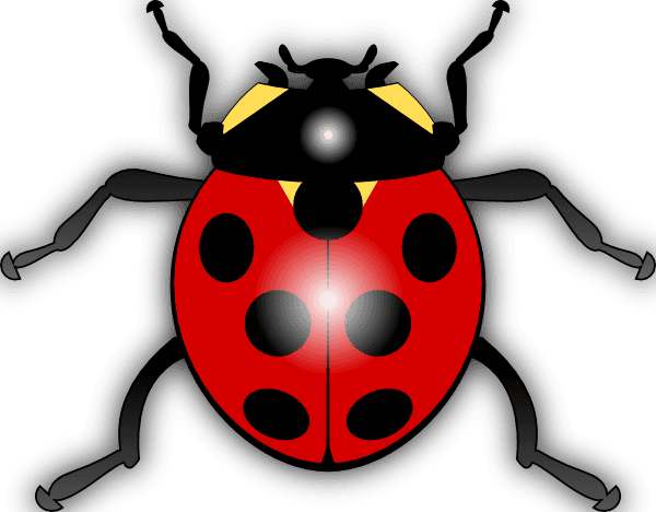 Free Vector Jilagan Ladybug Clip Art - Animated Picture Of A Ladybug - Transparent PNG Free Download | PNGio