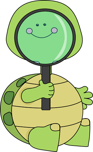 Turtle Looking Through Magnifying Glass - Baby Animals Reading Cartoon - Transparent PNG Free Download | PNGio