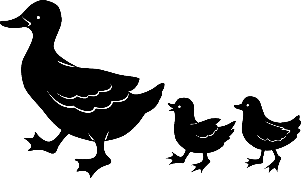 Duck Family Silhouettes Clip Art - Not Tested On Animals - Transparent PNG Free Download | PNGio