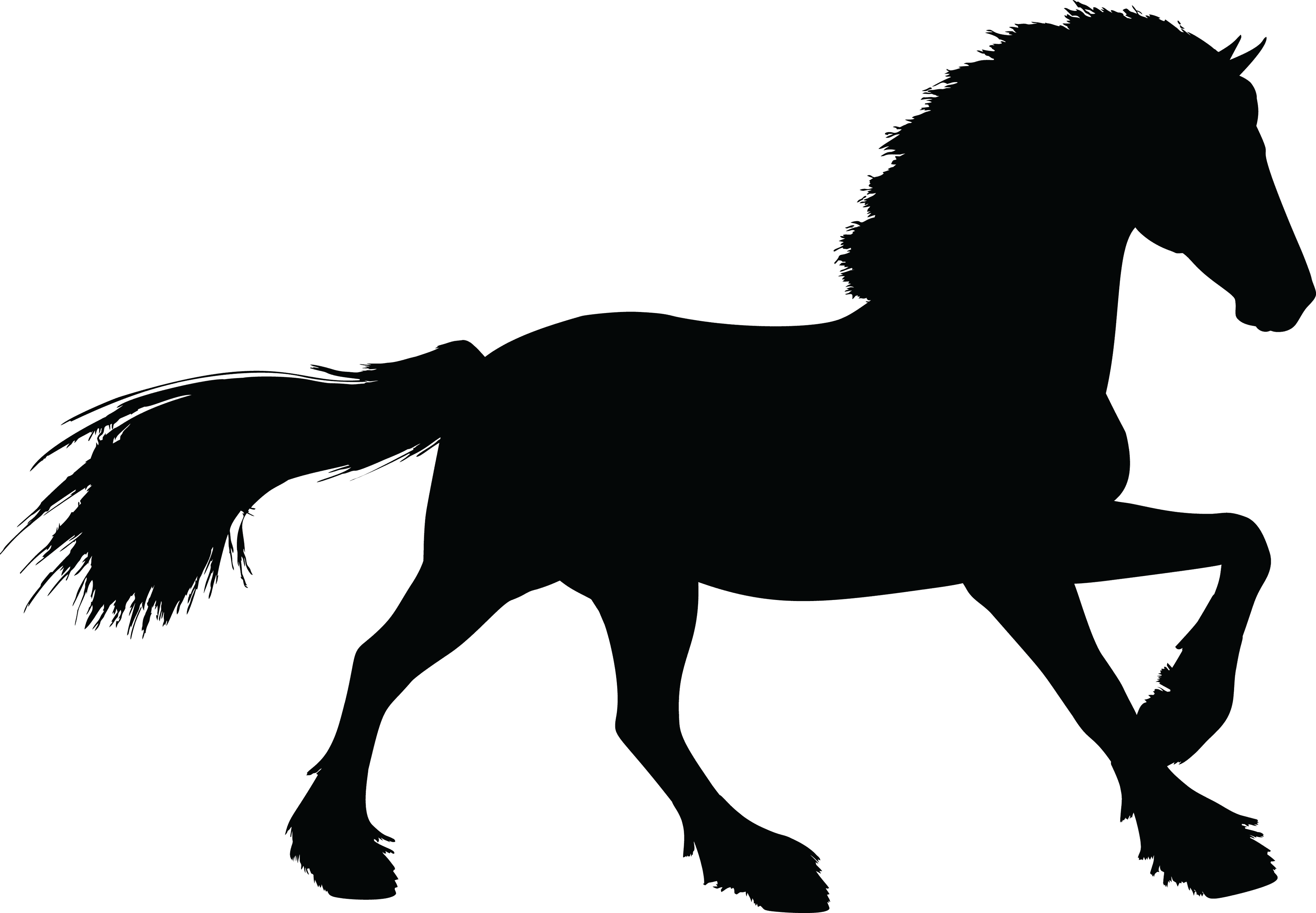 Free Clipart Of A Horse - Silhouette Animals - Transparent PNG Free Download | PNGio
