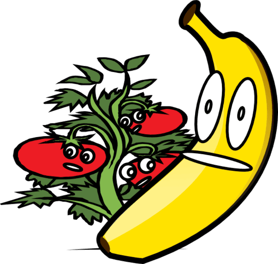 Download - Animated Moving Pictures Of Fruits - Transparent PNG Free Download | PNGio