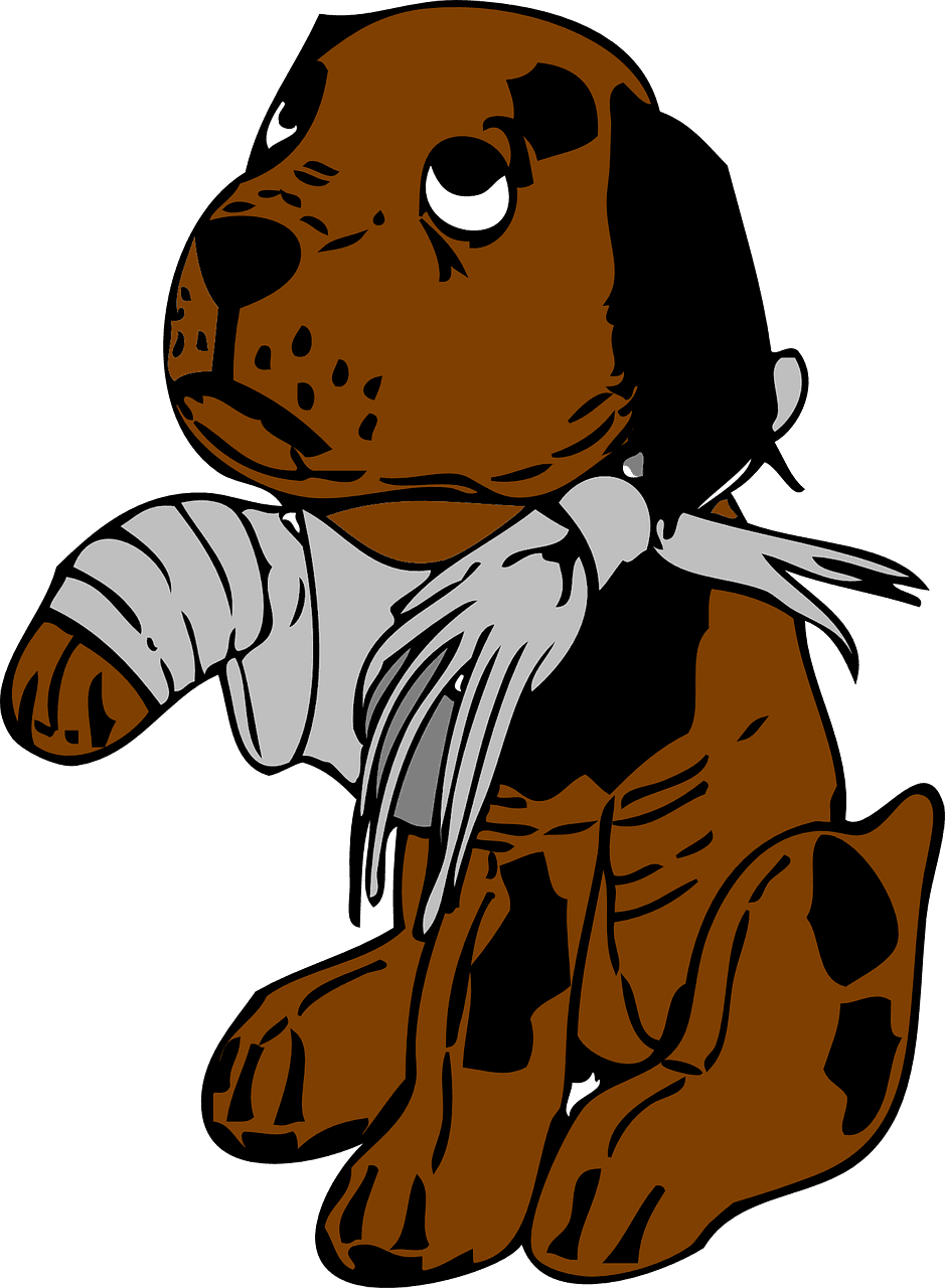 Emergency Vet Care - Hate People Who Hurt Animals - Transparent PNG Free Download | PNGio