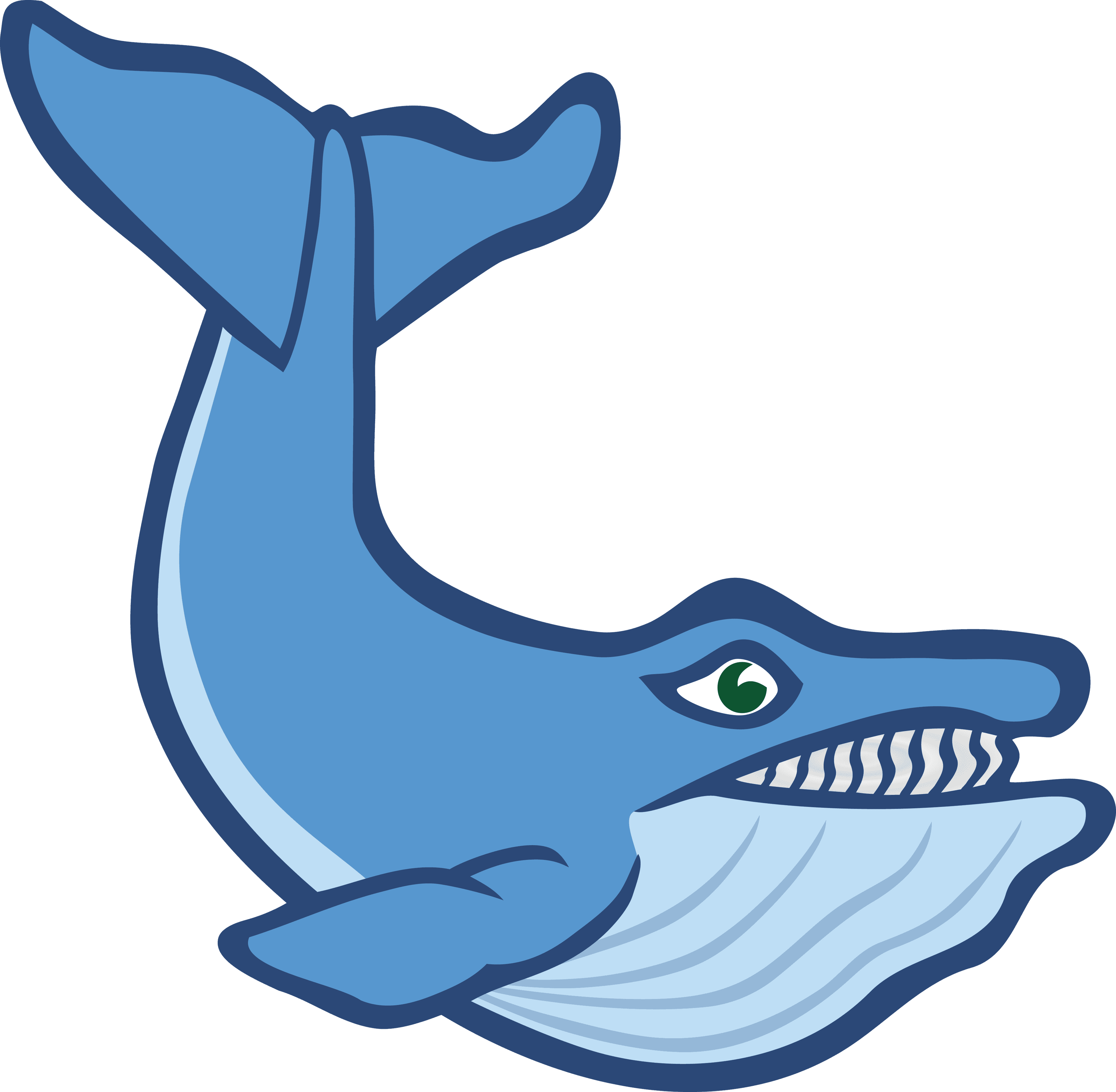 Free Clipart Of A Whale - Flash Cards For Sea Animals - Transparent PNG Free Download | PNGio
