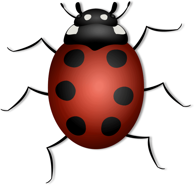 Animals With 6 Legs Clipart - Transparent PNG Free Download | PNGio