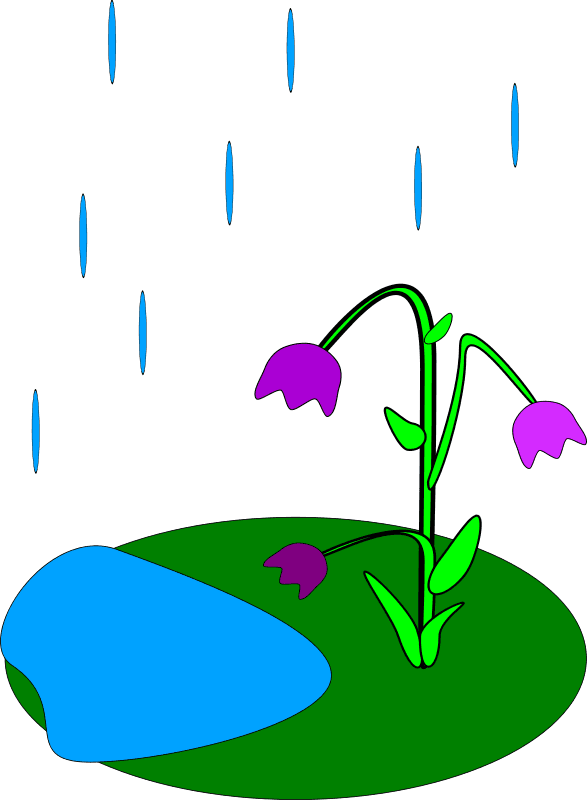 Rain Clip Art Flowers - May Animated Clipart - Transparent PNG Free Download | PNGio