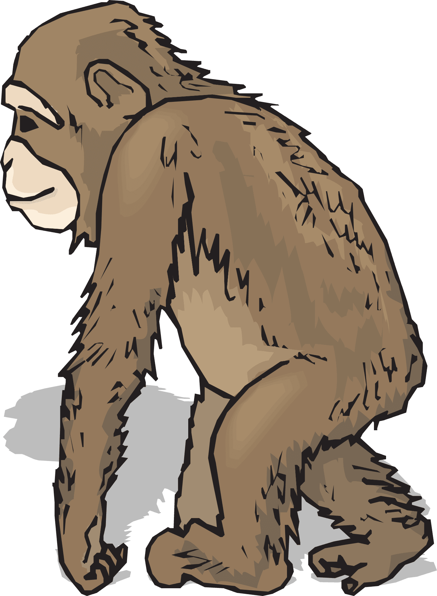 Animals With Fur Clipart - Transparent PNG Free Download | PNGio