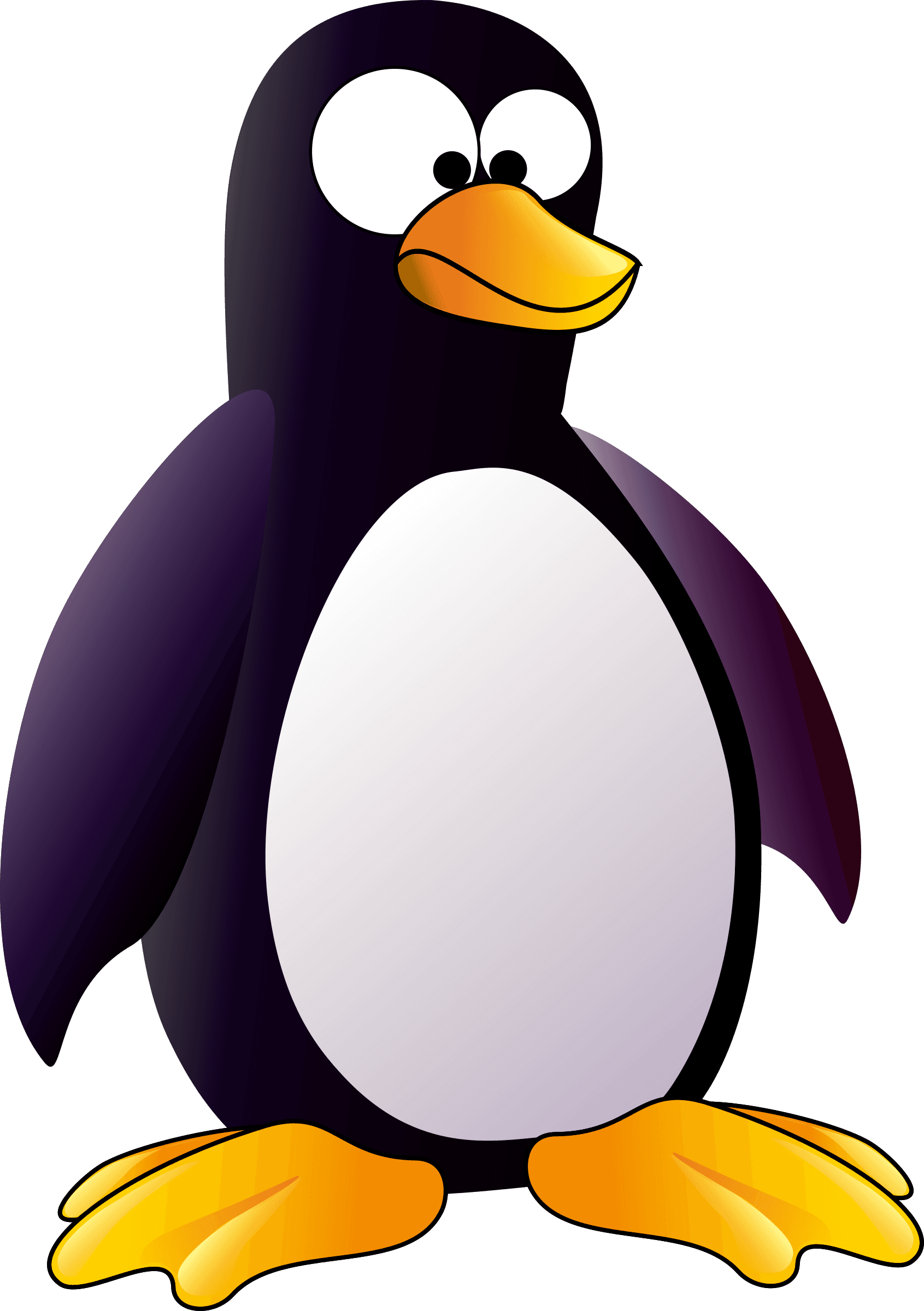 Penguin - Penguin Is A Bird Or Animal - Transparent PNG Free Download | PNGio