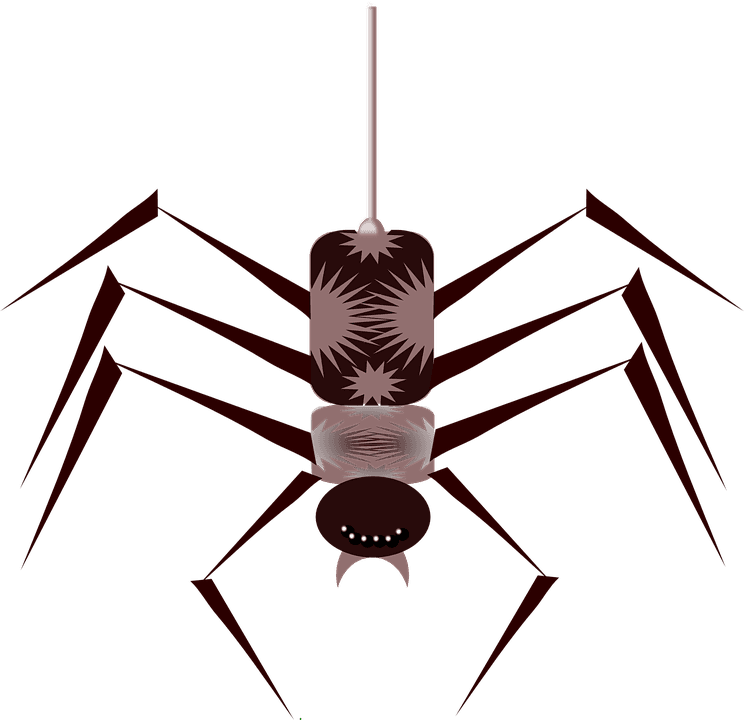 Spider Animated Gif Png - Transparent PNG Free Download | PNGio