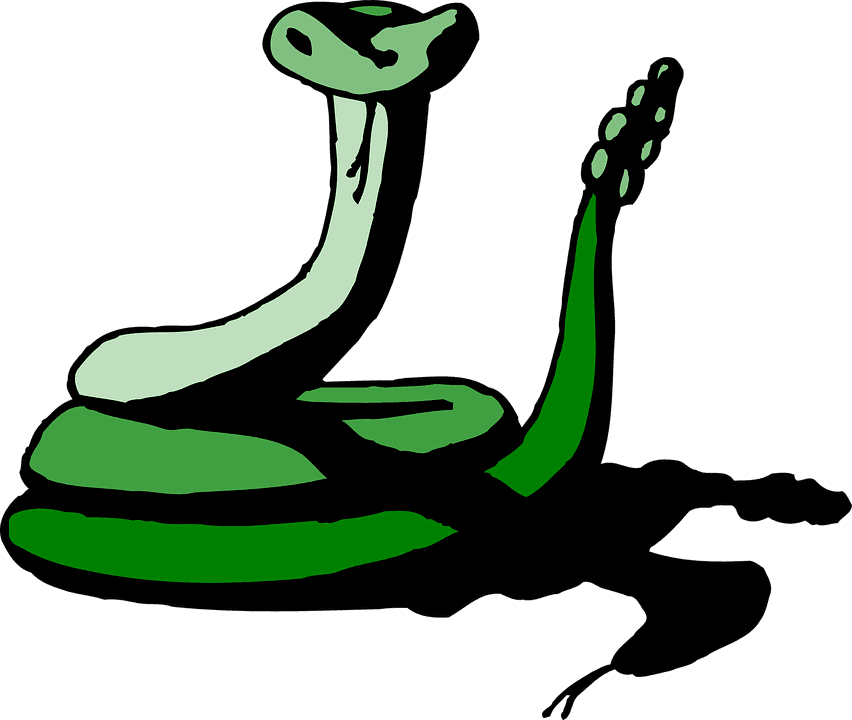 Snake Green Shadow Reptile Rattle Hissing Hiss - Green Animated Snake - Transparent PNG Free Download | PNGio