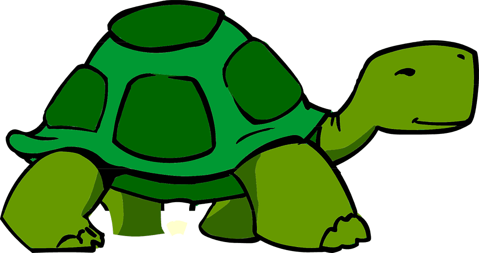 Turtoise Clipart Kura Kura - Animated Turtle - Transparent PNG Free Download | PNGio