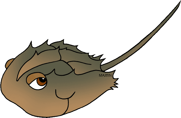 State Marine Animal Of Delaware - Delaware State Marine Animal - Transparent PNG Free Download | PNGio