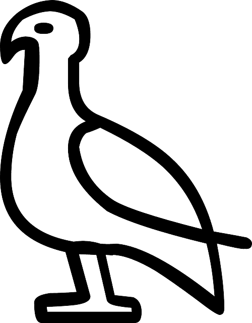 Drawing, Bird, Historic, Writing, Animal - Animal Glyphs - Transparent PNG Free Download | PNGio