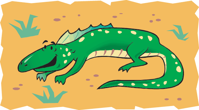 Desert Animal Habitat Game Sort The Animals That Do - Animals In The Desert Clipart - Transparent PNG Free Download | PNGio