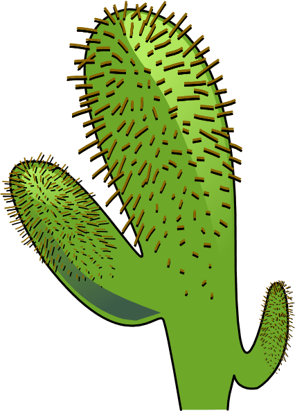 Animated Cactus - Transparent PNG Free Download | PNGio