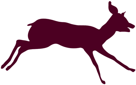 Download Free Photo Report - Background Animal Deer Running - Transparent PNG Free Download | PNGio