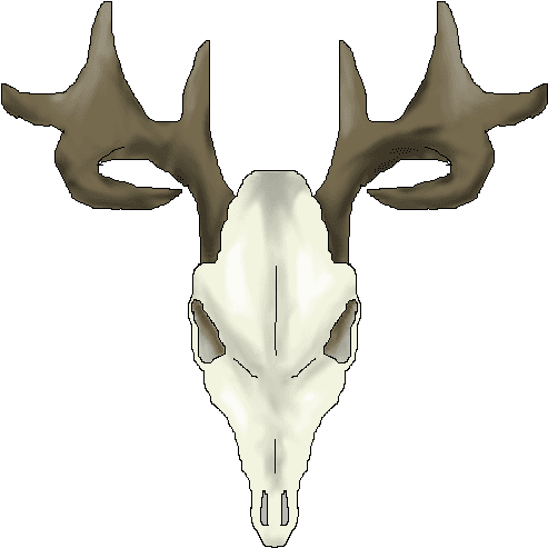 Drawings Of Deer Skulls - Animal Skull Cartoon Transparent - Transparent PNG Free Download | PNGio