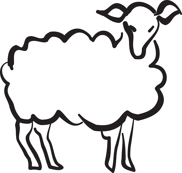 Stylized, Drawing, Style, Art, Lamb, Animal - Stylization Animals - Transparent PNG Free Download | PNGio