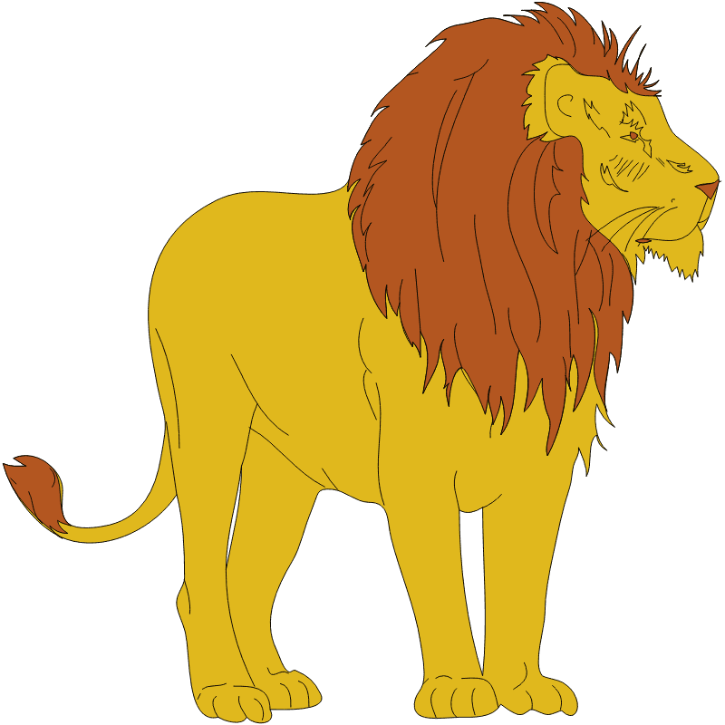 Male Lion - Animated Pictures Of Lion - Transparent PNG Free Download | PNGio