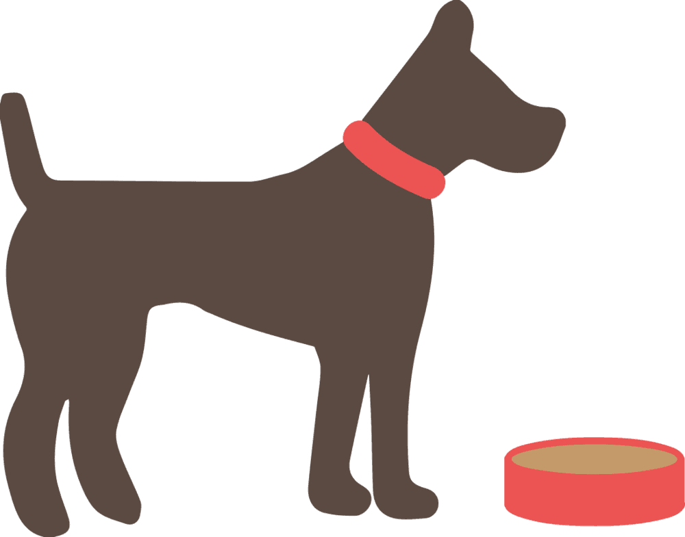 Dog Food - Myths And Truth About Animals - Transparent PNG Free Download | PNGio