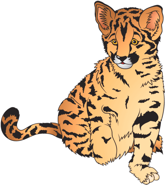 Wonderful Clip Art Of Animals That Live In A Zoo - Zoo Animals Clip Art - Transparent PNG Free Download | PNGio