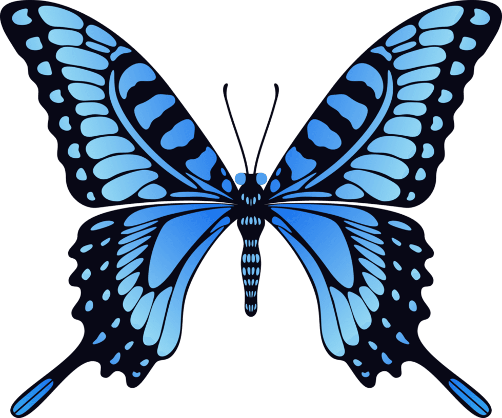 Butterfly Png Image, Free Picture Download Butterflies - Flying Butterfly Animation Gif - Transparent PNG Free Download | PNGio