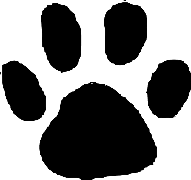 Elephant Outline Printable - Animal Footprint - Transparent PNG Free Download | PNGio