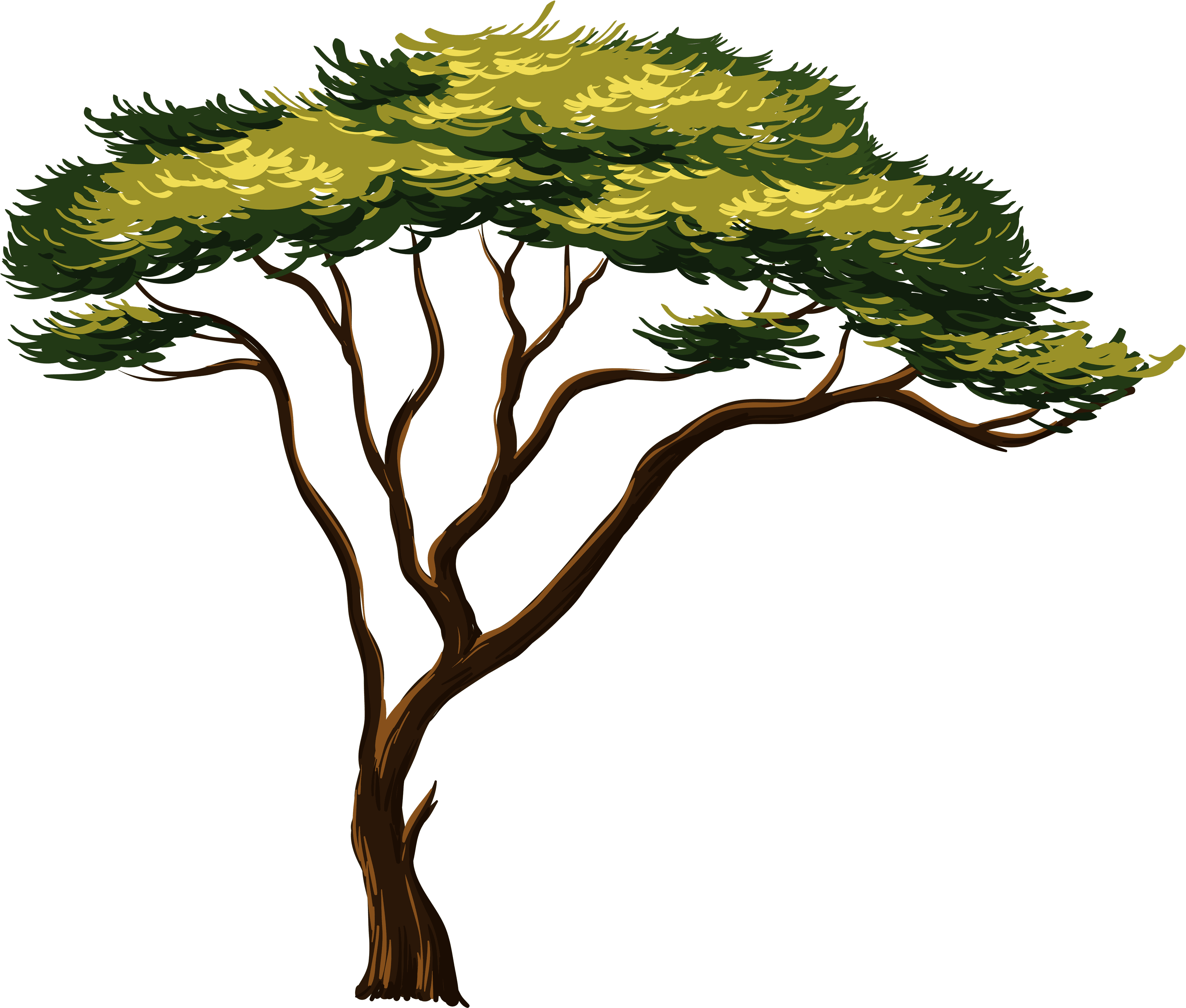 Wall Sticker Safari Animals - Transparent PNG Free Download | PNGio