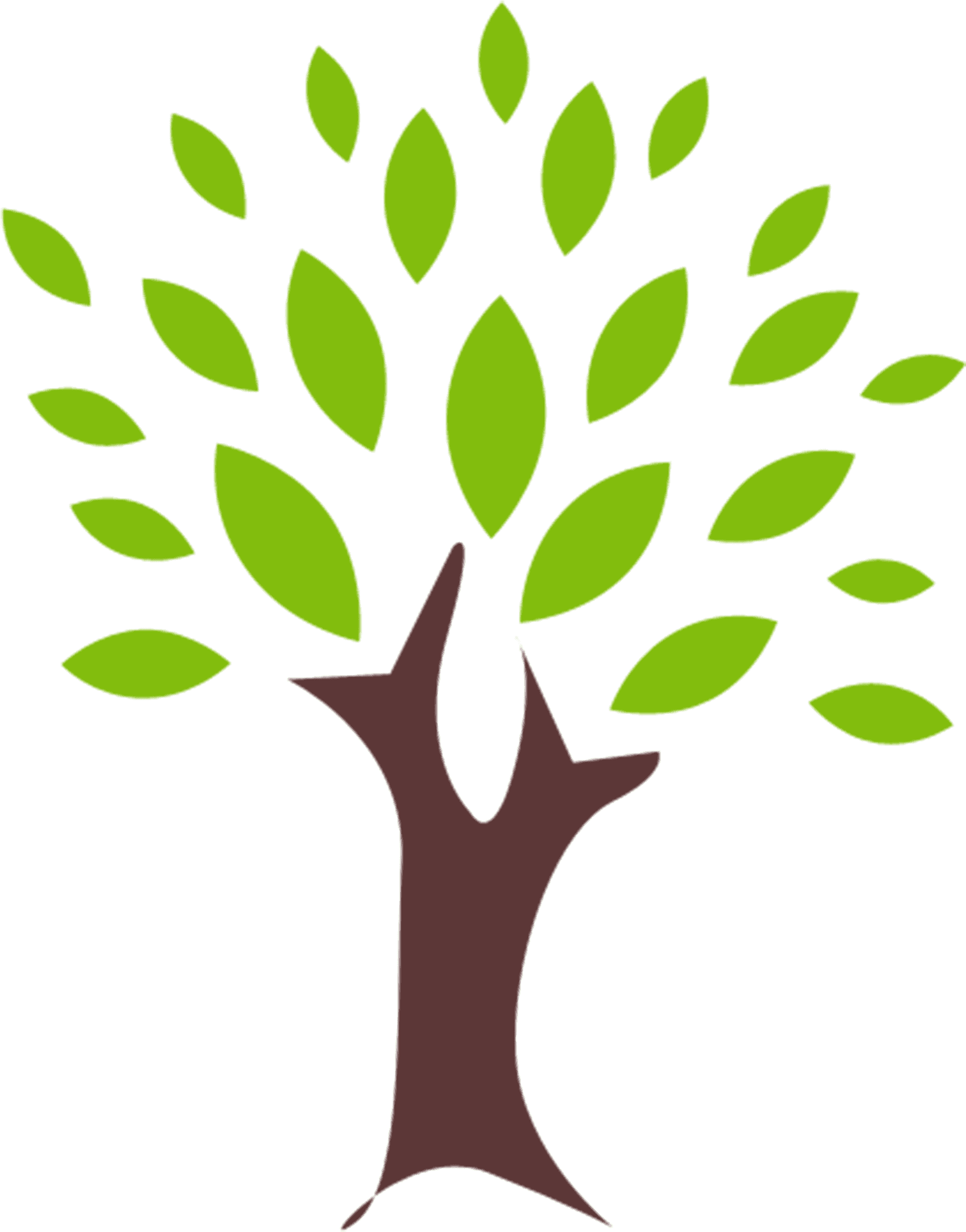 Tree With No Leaves Clip - Baby Forest Animal Clipart - Transparent PNG Free Download | PNGio