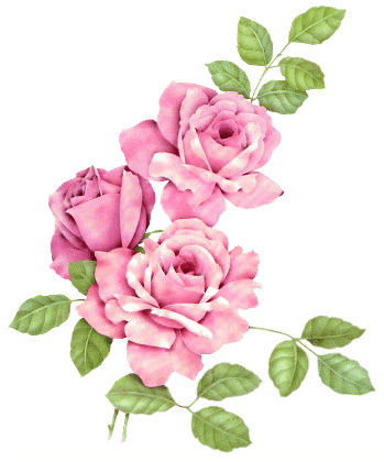 Rosenbilder, Kunstmalerei Blumen, Rosen Kunst, Pinke - Animated Alphabet S - Transparent PNG Free Download | PNGio