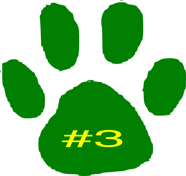 Animal Footprints - Transparent PNG Free Download | PNGio