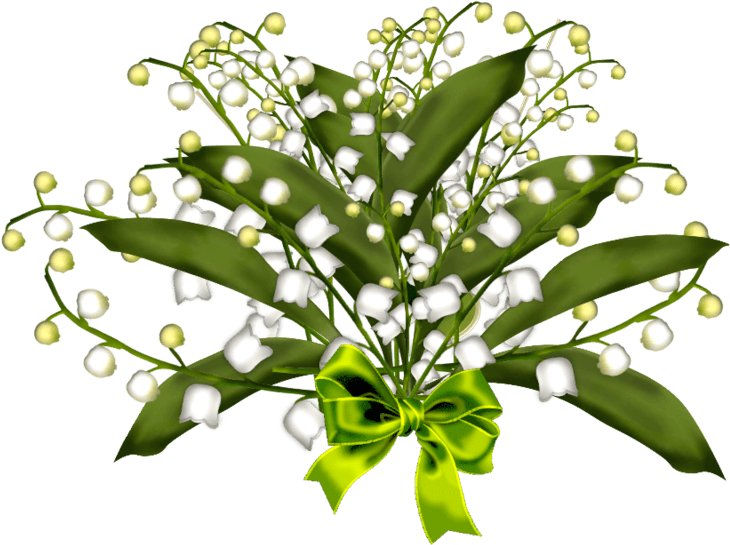 Brin De Muguet17a11 - Lily Of The Valley Animation - Transparent PNG Free Download | PNGio