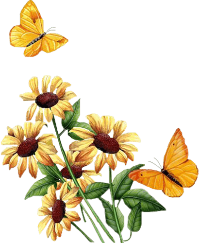 Flower 25 - Animated Flowers And Butterflies Gif - Transparent PNG Free Download | PNGio