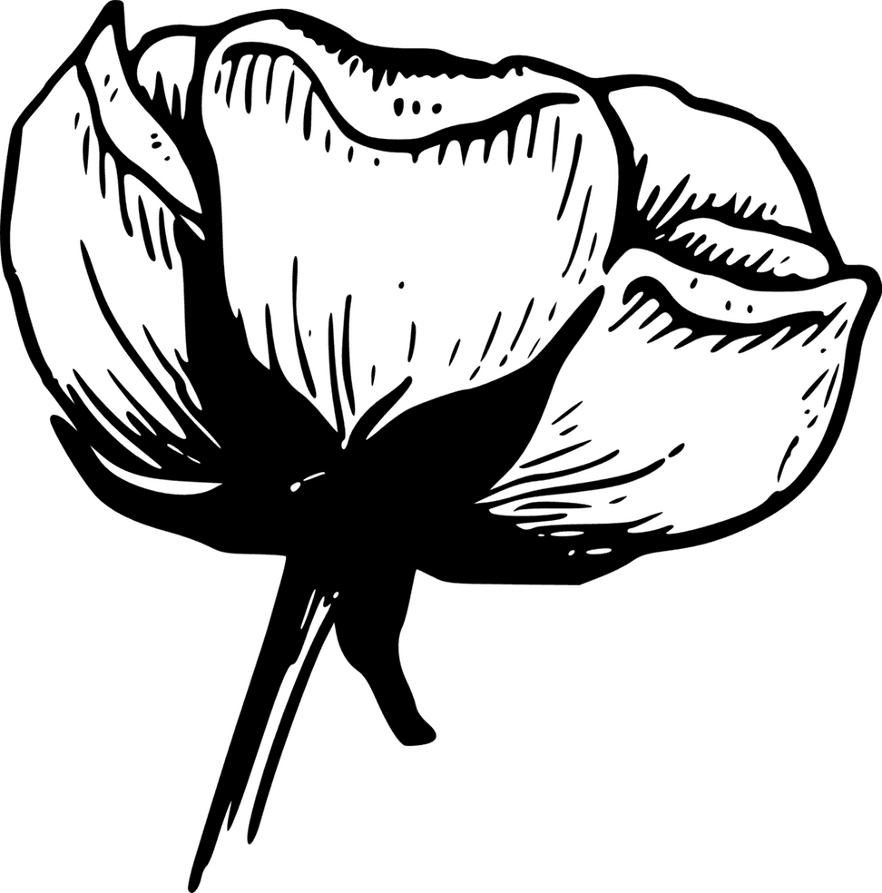 Apartment Large-size Flower Black And White Clip Art - Flower Animation Black And White - Transparent PNG Free Download | PNGio