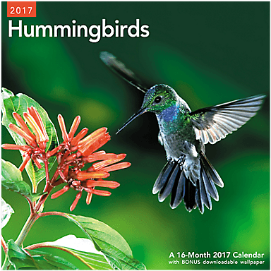 Mead 2017 Hummingbirds Wall Calendar (lme202_17) - - Transparent PNG Free Download | PNGio