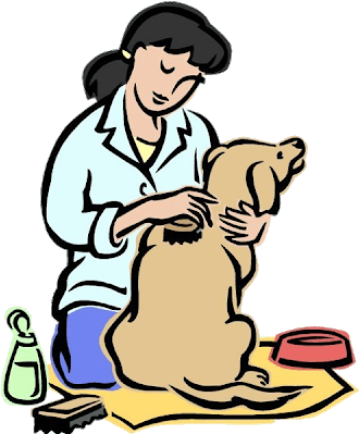 Animal Grooming Cartoon Animals Homepage - Taking Care Of Animals - Transparent PNG Free Download | PNGio