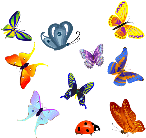 Insects 6 - Butterfly Orange Flame Bag, Adult Unisex, Natural - Transparent PNG Free Download | PNGio