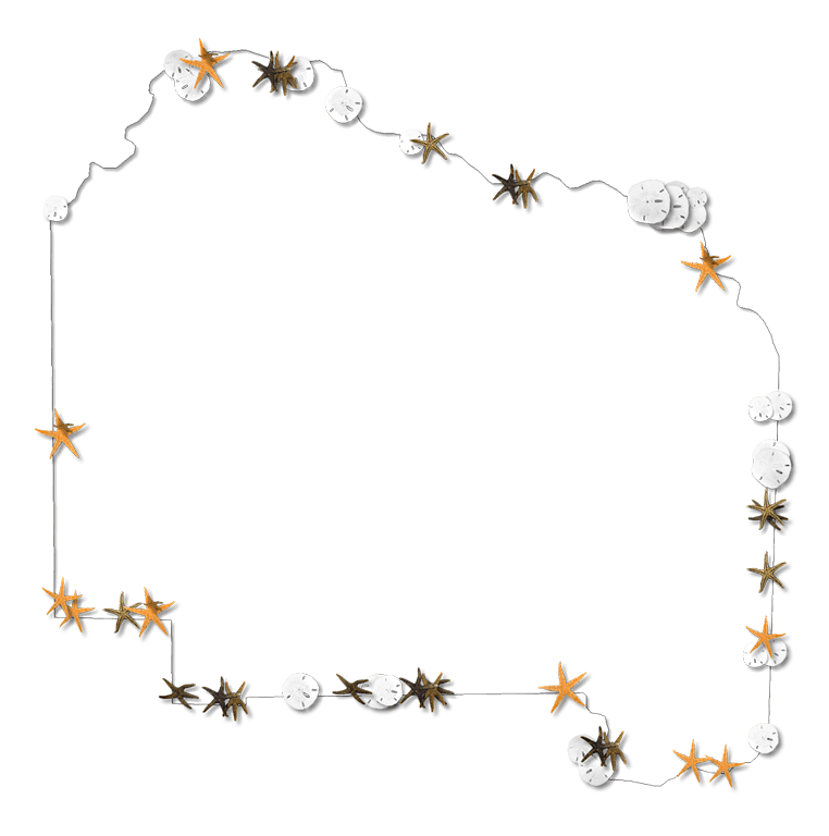 Alachua Fancy Frame Style Maps In 30 Styles - Nature Transparent Frames - Transparent PNG Free Download | PNGio