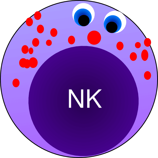Nk Cell Clip Art - Natural Killer Cells Clipart - Transparent PNG Free Download | PNGio