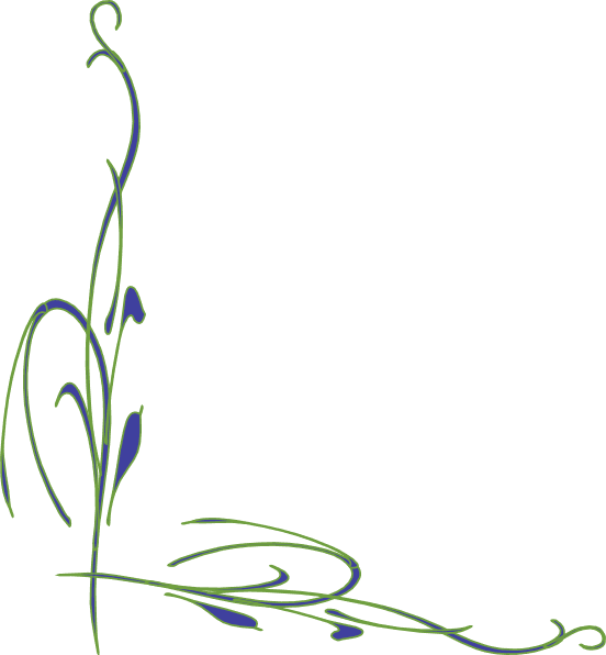 Flower Vine Svg Clip Arts 552 X 596 Px - Naturally Better Oxygen Bleach - 450g - Transparent PNG Free Download | PNGio