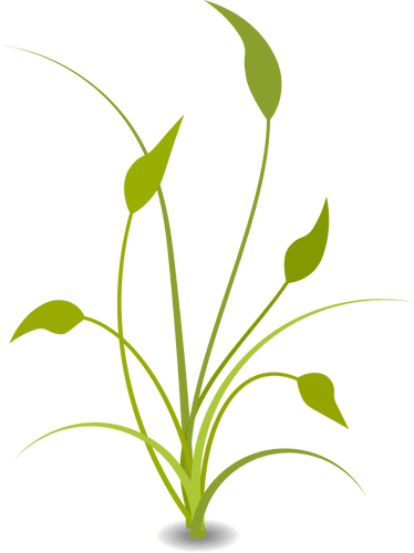 Green Plant With Leaves - Nature Png Clipart - Transparent PNG Free Download | PNGio