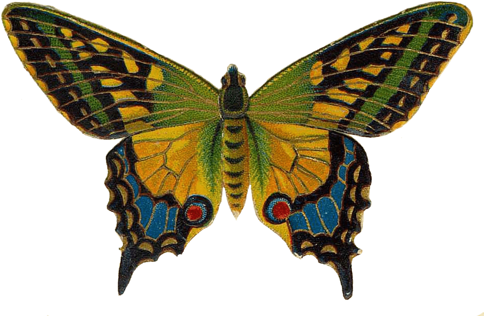 Inspiring Clipart Vintage Butterfly - Flying Colors: Second Nature Cd - Transparent PNG Free Download | PNGio