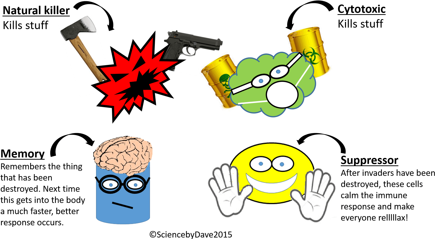 Most Important Of All The Adaptive Immune System Produces - Natural Killer Cell Cartoon - Transparent PNG Free Download | PNGio