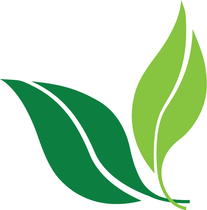 List-style - Wellness Perth Natural Medicine - Transparent PNG Free Download | PNGio