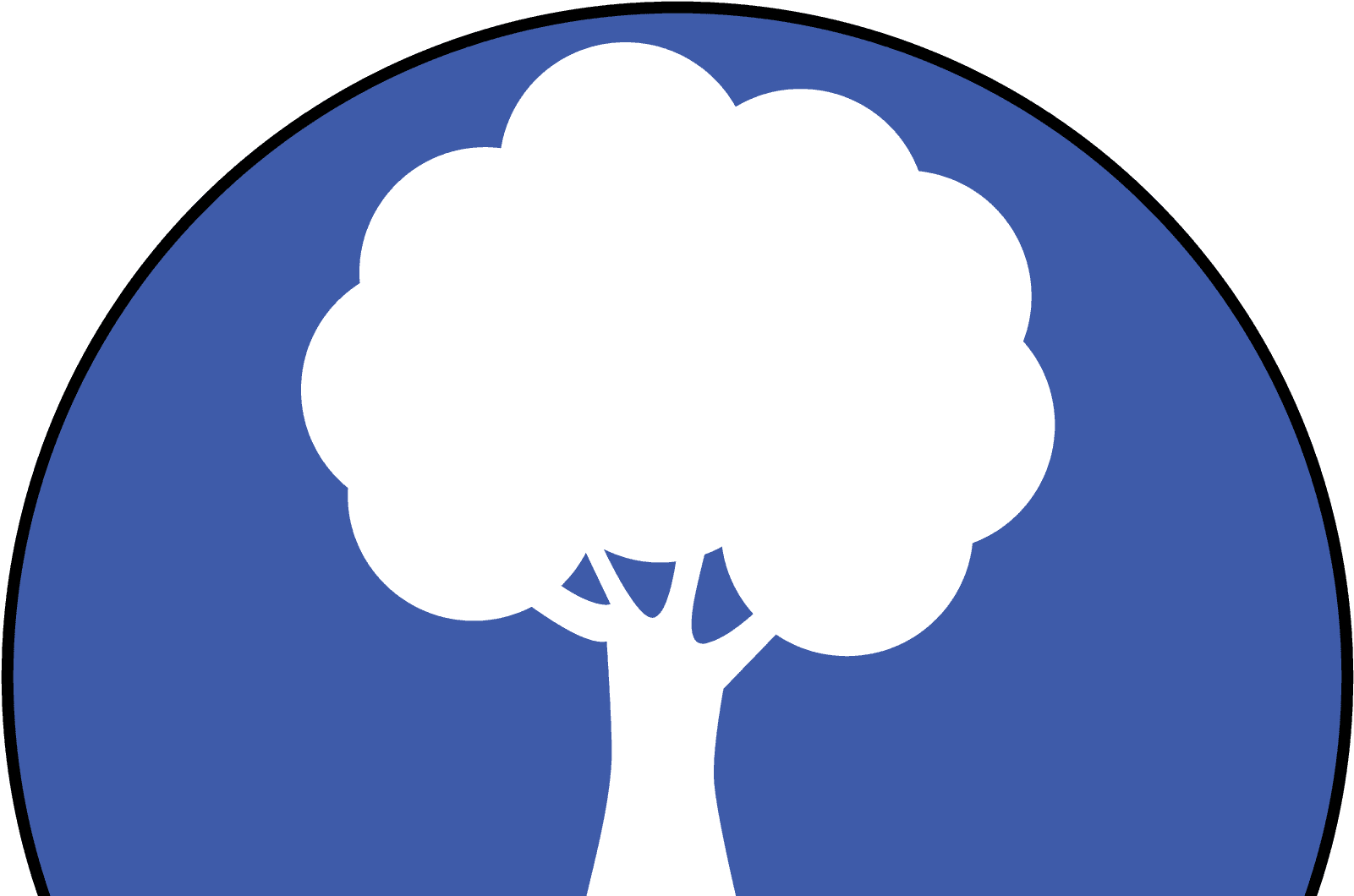 Tree Removal - Natural Environment - Transparent PNG Free Download | PNGio