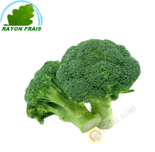 Naturally Treated Organic Broccoli Seeds (50 Seeds) - Transparent PNG Free Download | PNGio