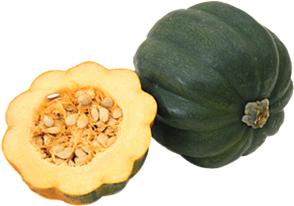 Acorn Squash Png Pic - Png De Frames Transparent Natural - Transparent PNG Free Download | PNGio