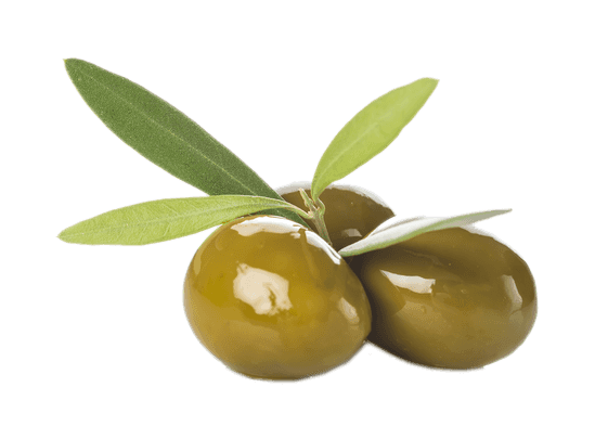 Olives Olives - A'pieu Natural Material Big Size Cream - Transparent PNG Free Download | PNGio